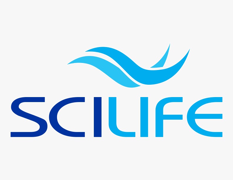 whatsapp image 2026 03 12 at 00.40.27 (1)